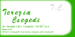 terezia csegedi business card